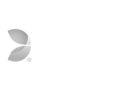 Evolution Gaming