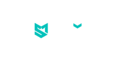 spinoli logo