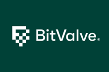 BitValve Logo