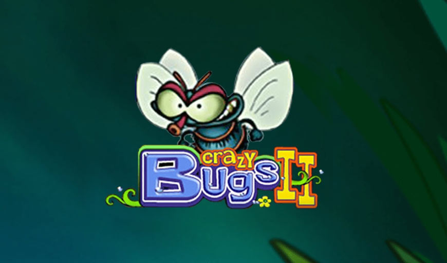 Play Crazy Bugs II • for Free • Online •