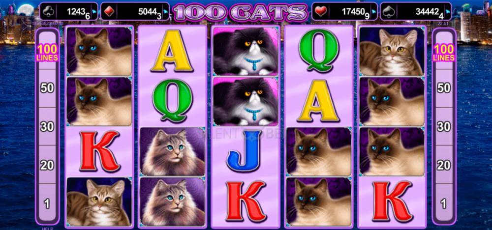 100 Cats демо игра