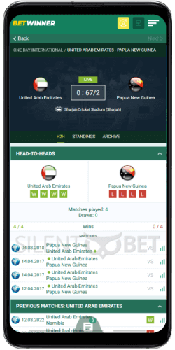 Betwinner cricket on mobile