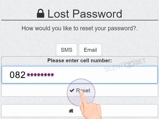 how to change password on hollywoodbets via sms