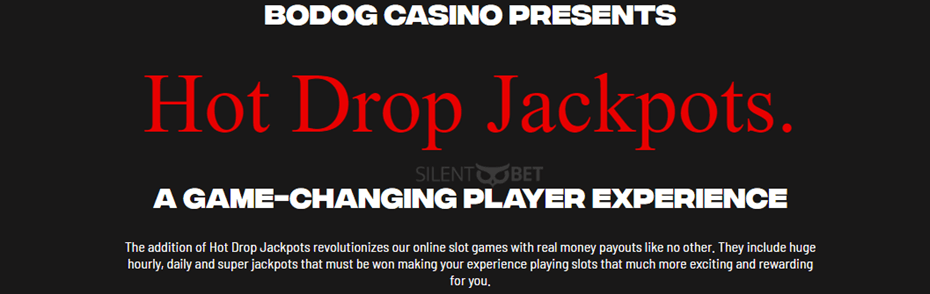 bodgo casino jackpot hot drop
