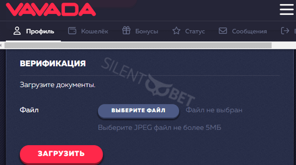 процесс проверки казино vavada