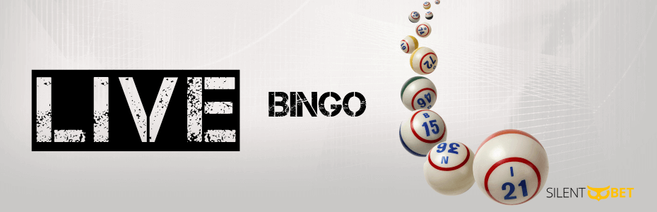 live bingo south africa