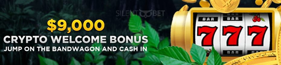 wild casino crypto welcome bonus