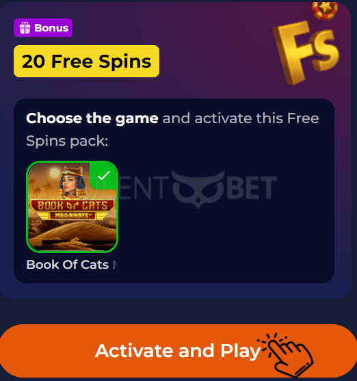 nine casino no deposit fs