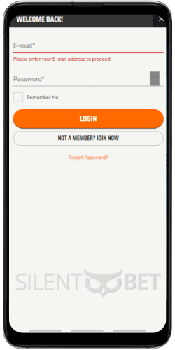 ignition mobile login