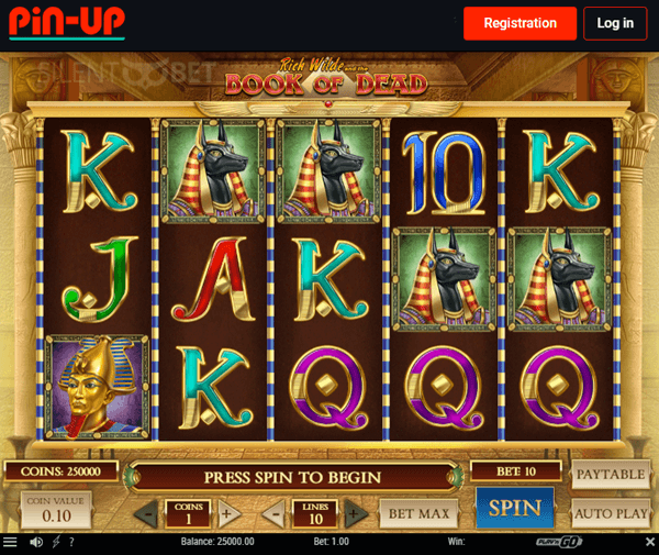 pin up casino top slots book of dead