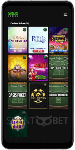 wild casino android play