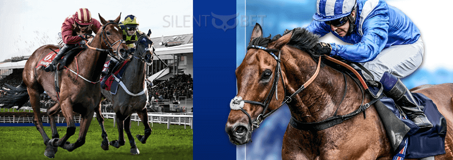 BoyleSports horse racing promos