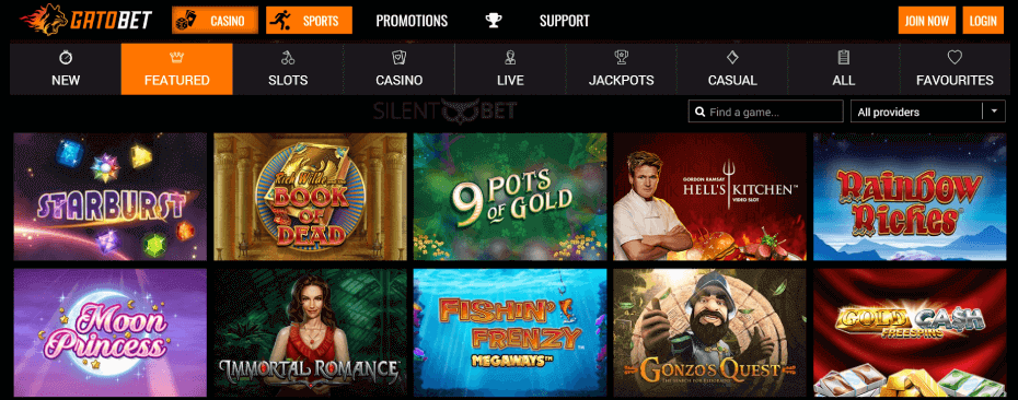 GatoBet Casino Design