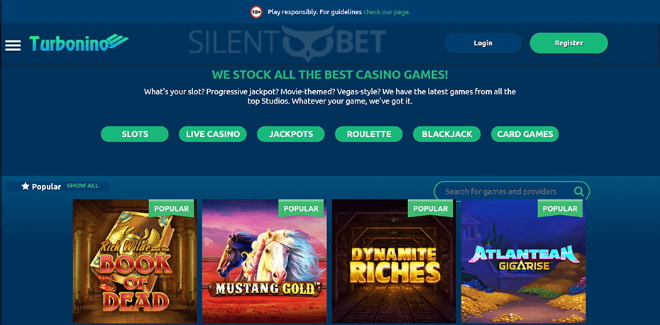 Turbonino Casino Website Design
