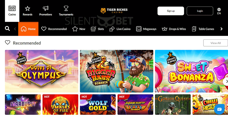 TigerRiches Casino Website Design